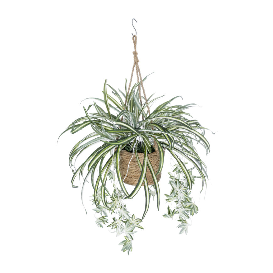 GloboStar® Artificial Garden CHLOROPHYTUM COMOSUM HANGING PLANT 20638 Τεχνητό Κρεμαστό Διακοσμητικό Χλωρόφυτο  Y50cm