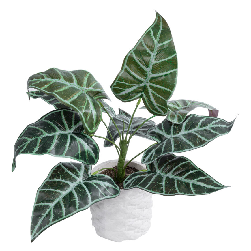 GloboStar® Artificial Garden ALOCASIA 20886 Τεχνητό Διακοσμητικό Φυτό Αλοκασία Φ38 x Υ33cm