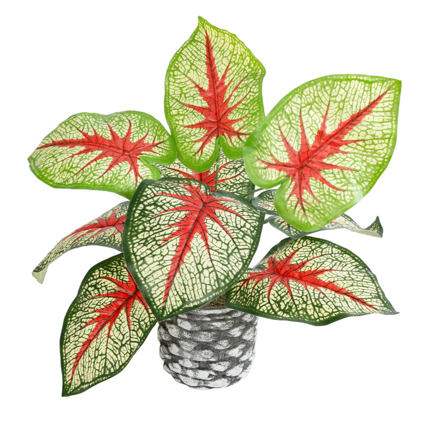 GloboStar® Artificial Garden CALADIUM 20891 Τεχνητό Διακοσμητικό Φυτό Τροπικό Φυτό Φ40 x Υ33cm