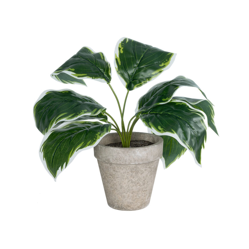 GloboStar® Artificial Garden WHITE HOSTA PLANT 20900 Διακοσμητικό Φυτό Λευκή  Χόστα Φ45 x Υ40cm