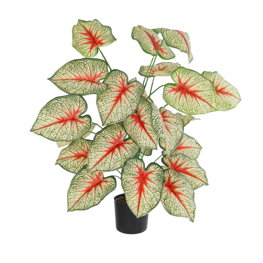 GloboStar® Artificial Garden CALADIUM PLANT 20921 Διακοσμητικό Φυτό Καλάντιουμ Φ75 x Υ80cm