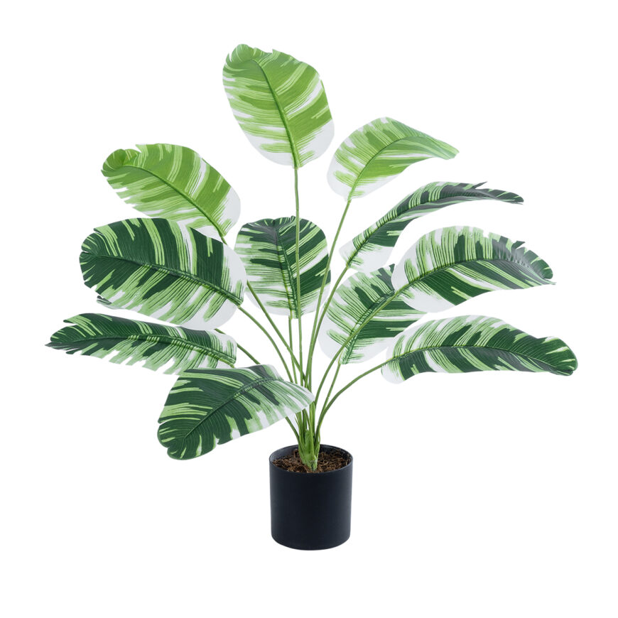 GloboStar® Artificial Garden BANANA PLANT ZEBRA 20929 - Διακοσμητικό Φυτό Μπανανιά Ζέβρα Φ70 x Υ55cm