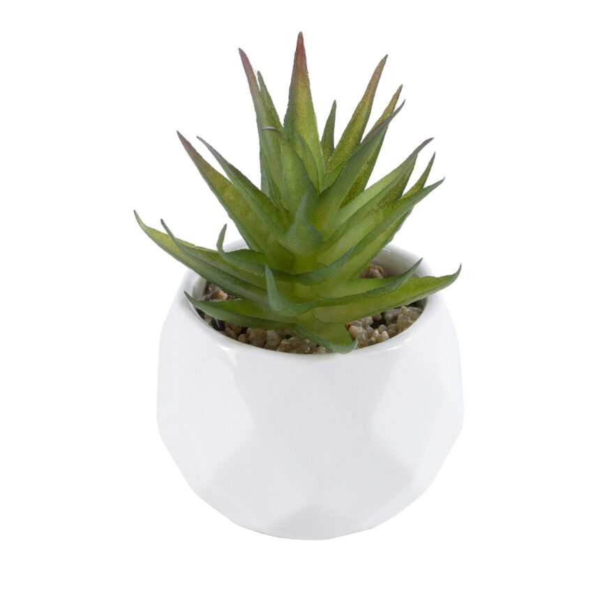 GloboStar® Artificial Garden SUCCULENT ALOE 20982 Διακοσμητικό Φυτό Παχύφυτο Αλόη Υ11cm