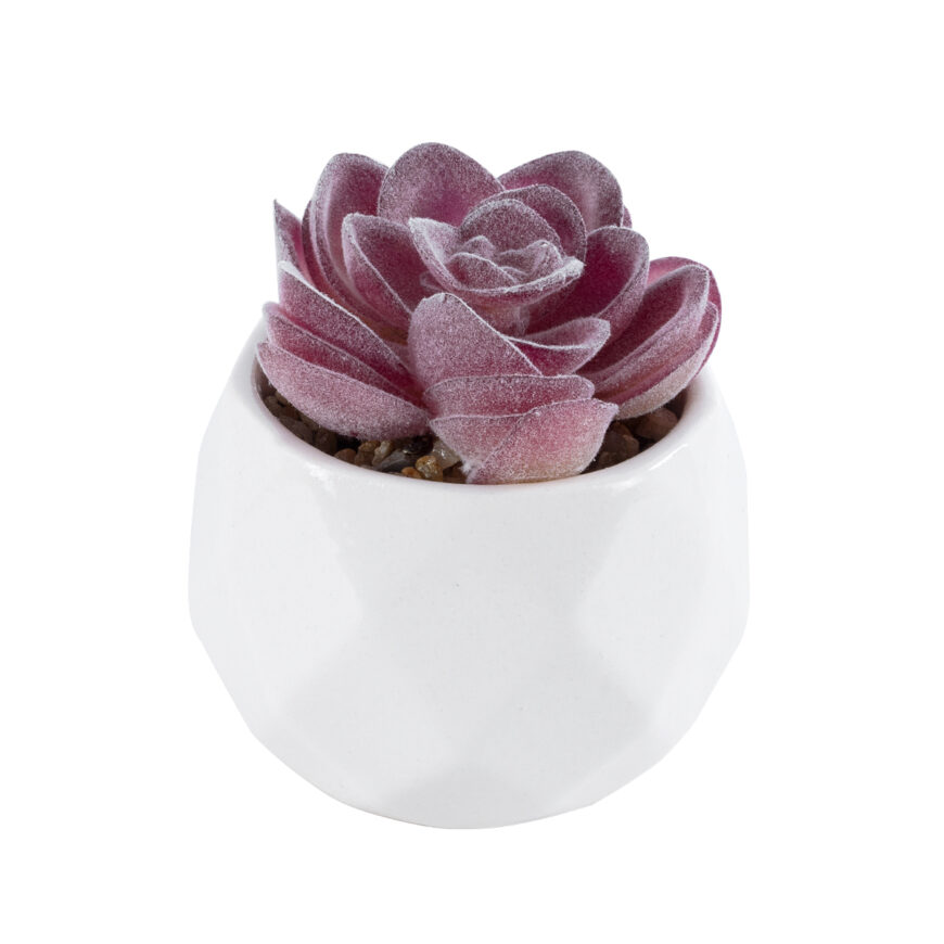 GloboStar® Artificial Garden SUCCULENT ECHEVERIA 21000 Διακοσμητικό Φυτό Παχύφυτο Εχεβέρια Υ7.5cm