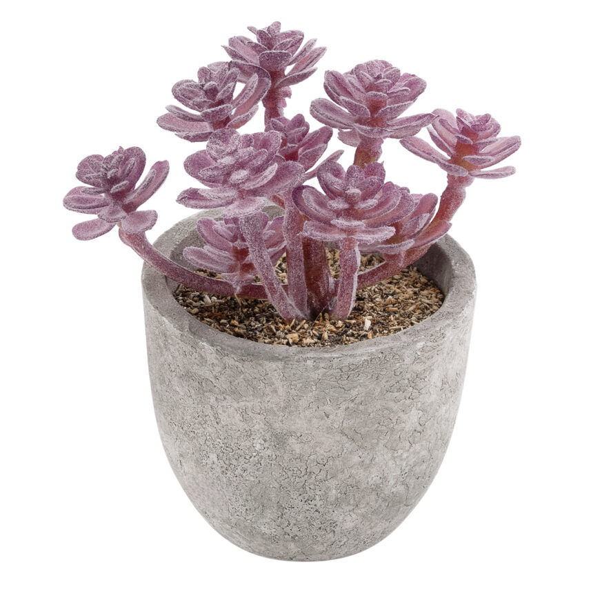 GloboStar® Artificial Garden SUCCULENT SEDUM 21017 Διακοσμητικό Φυτό Παχύφυτο Σέδο Υ10cm