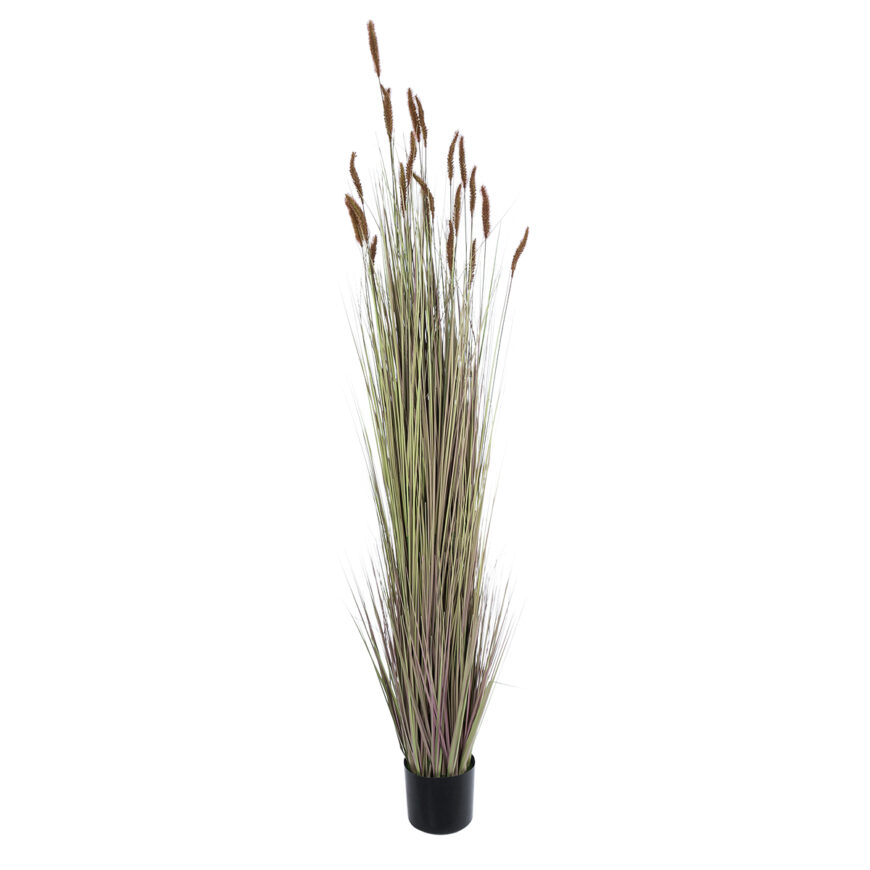 GloboStar® Artificial Garden BROWN LAGURUS 21103 Διακοσμητικό Φυτό Καφέ Λαγοουρά Υ180cm