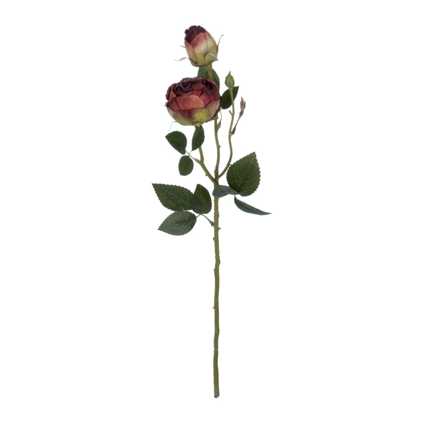 GloboStar® Artificial Garden RED DAMASK CLIMBING ROSE BRANCH 21197 Τεχνητό Διακοσμητικό Κλαδί Τριαντάφυλλο Κόκκινο Y55cm