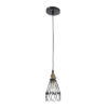 GloboStar® FLOWER IRON RUST 01181 Vintage Κρεμαστό Φωτιστικό Οροφής Μονόφωτο 1 x E27 AC220-240V IP20 – Φ10 x Υ20cm – Μαύρο Μεταλλικό Πλέγμα