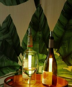 Φορητό φωτιστικό για Μπουκάλια Bottlelight stick Θερμό 3000Κ 2-ΒΤ499909