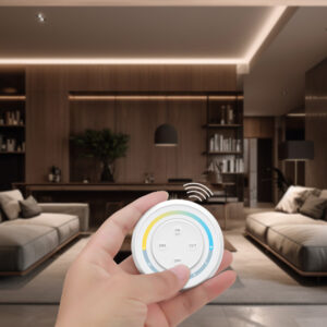 ΑΣΥΡΜΑΤΟ ΧΕΙΡΙΣΤΗΡΙΟ ΤΟΙΧΟΥ RF DIMMER 4 ΚΑΝΑΛΙΑ EUROLAMP – 145-71406