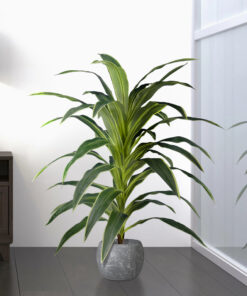 GloboStar® Artificial Garden BRAZILIAN IRON 20020 Τεχνητό Διακοσμητικό Φυτό Αρωματική Δράκαινα Υ140cm