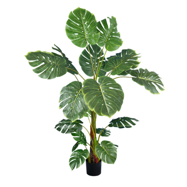 GloboStar® Artificial Garden MONSTERA 20007 Τεχνητό Διακοσμητικό Φυτό Μονστέρα Υ160cm