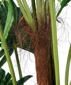 GloboStar® Artificial Garden PALM TREE 20014 Τεχνητό Διακοσμητικό Φυτό Φοινικόδεντρο Βεντάλια Υ210cm