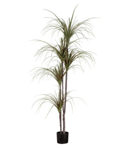 GloboStar® Artificial Garden DRAGON BLOOD TREE 20016 Τεχνητό Διακοσμητικό Φυτό Δράκαινα Υ180cm