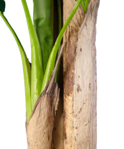 GloboStar® Artificial Garden BANANA TREE 20018 Τεχνητό Διακοσμητικό Φυτό Μπανανιά – Μπανανόδεντρο Υ240cm
