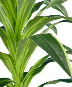 GloboStar® Artificial Garden BRAZILIAN IRON 20020 Τεχνητό Διακοσμητικό Φυτό Αρωματική Δράκαινα Υ140cm
