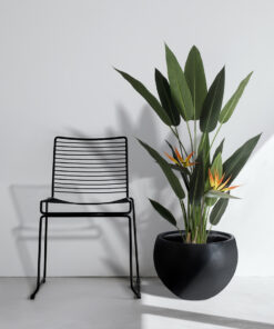 GloboStar® Artificial Garden STRELITZIA REGINAE 20032 Τεχνητό Διακοσμητικό Φυτό Στρελίτσια – Πουλί του Παραδείσου Υ140cm