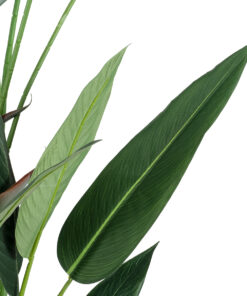 GloboStar® Artificial Garden STRELITZIA REGINAE 20033 Τεχνητό Διακοσμητικό Φυτό Στρελίτσια – Πουλί του Παραδείσου Υ180cm