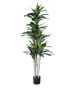 GloboStar® Artificial Garden DRACAENA SILK 20044 Τεχνητό Διακοσμητικό Φυτό Δράκαινα Υ170cm