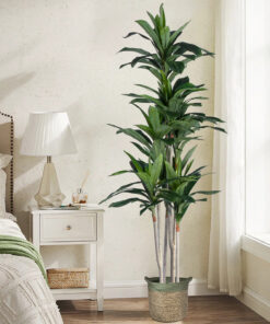 GloboStar® Artificial Garden DRACAENA SILK 20044 Τεχνητό Διακοσμητικό Φυτό Δράκαινα Υ170cm