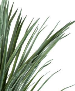 GloboStar® Artificial Garden BEAUCARNEA PALM TREE 20046 Τεχνητό Διακοσμητικό Φυτό Κυρτόφυλλος Μπουκαρνέα Υ165cm