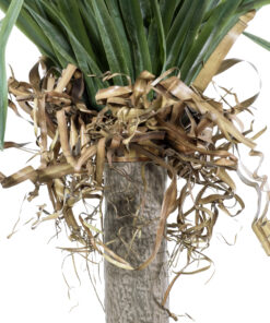 GloboStar® Artificial Garden BEAUCARNEA PALM TREE 20046 Τεχνητό Διακοσμητικό Φυτό Κυρτόφυλλος Μπουκαρνέα Υ165cm