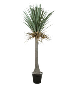 GloboStar® Artificial Garden BEAUCARNEA PALM TREE 20047 Τεχνητό Διακοσμητικό Φυτό Κυρτόφυλλος Μπουκαρνέα Υ200cm
