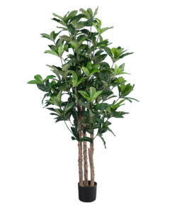 GloboStar® Artificial Garden FORTUNE GUIANA TREE 20056 Τεχνητό Διακοσμητικό Φυτό Καστανιά του Μαλαμπάρ Υ160cm