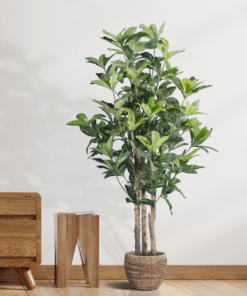 GloboStar® Artificial Garden FORTUNE GUIANA TREE 20056 Τεχνητό Διακοσμητικό Φυτό Καστανιά του Μαλαμπάρ Υ160cm