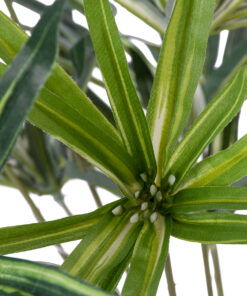GloboStar® Artificial Garden BROADLEAF LADY PALM 20059 Τεχνητό Διακοσμητικό Φυτό Πλατύφυλλος Φοίνικας Μπαμπού Υ50cm