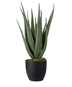 GloboStar® Artificial Garden ALOE 20066 Τεχνητό Διακοσμητικό Φυτό Αλόη Υ65cm