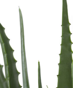 GloboStar® Artificial Garden ALOE 20066 Τεχνητό Διακοσμητικό Φυτό Αλόη Υ65cm