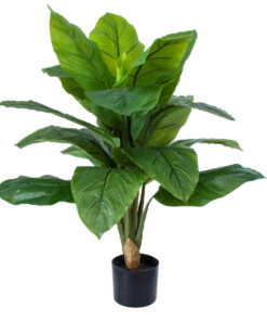 GloboStar® Artificial Garden ROHDEA JAPONICA 20068 Τεχνητό Διακοσμητικό Φυτό Ιαπωνέζικη Ροδέα Υ80cm