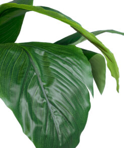 GloboStar® Artificial Garden ROHDEA JAPONICA 20068 Τεχνητό Διακοσμητικό Φυτό Ιαπωνέζικη Ροδέα Υ80cm