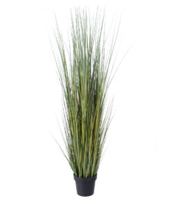 GloboStar® Artificial Garden PAMPAS GRASS 20072 Τεχνητό Διακοσμητικό Φυτό Γρασίδι της Πάμπας Υ170cm
