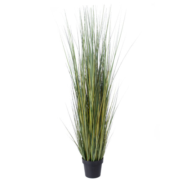 GloboStar® Artificial Garden PAMPAS GRASS 20072 Τεχνητό Διακοσμητικό Φυτό Γρασίδι της Πάμπας Υ170cm