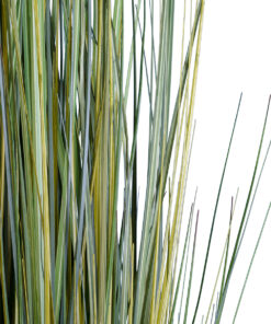 GloboStar® Artificial Garden ERIOPHORUM ANGUSTIFOLIUM COTTON GRASS 20074 Τεχνητό Διακοσμητικό Φυτό Γρασίδι του Βαμβακιού Υ170cm