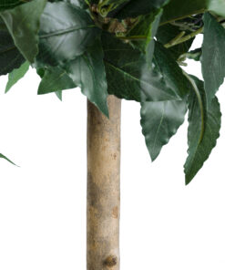 GloboStar® Artificial Garden LAUREL 20084 Τεχνητό Διακοσμητικό Φυτό Δάφνη Υ120cm