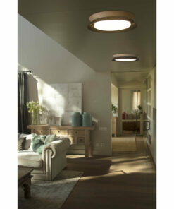 ΦΩΤΙΣΤΙΚΟ ΟΡΟΦΗΣ TENDER ΜΑΥΡΟ 24W FARO – 20094