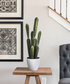 GloboStar® Artificial Garden CEREUS JAMACARU CACTUS 20095 Τεχνητό Διακοσμητικό Φυτό Κάκτος Κηρίος Υ71cm