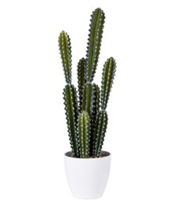 GloboStar® Artificial Garden CEREUS JAMACARU CACTUS 20095 Τεχνητό Διακοσμητικό Φυτό Κάκτος Κηρίος Υ71cm