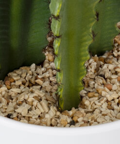GloboStar® Artificial Garden CEREUS JAMACARU CACTUS 20099 Τεχνητό Διακοσμητικό Φυτό Κάκτος Κηρίος Υ66cm