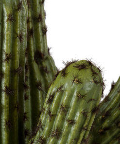 GloboStar® Artificial Garden CARNEGIEA CACTUS 20100 Τεχνητό Διακοσμητικό Φυτό Κάκτος Σαγκουάρο Υ63cm