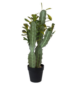 GloboStar® Artificial Garden CEREUS JAMACARU CACTUS 20102 Τεχνητό Διακοσμητικό Φυτό Κάκτος Κηρίος Υ62cm