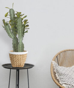 GloboStar® Artificial Garden CEREUS JAMACARU CACTUS 20102 Τεχνητό Διακοσμητικό Φυτό Κάκτος Κηρίος Υ62cm