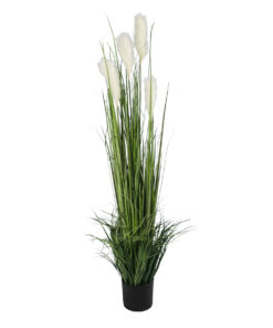 GloboStar® Artificial Garden PAMPAS GRASS 20106 Τεχνητό Διακοσμητικό Φυτό Γρασίδι της Πάμπας Υ150cm