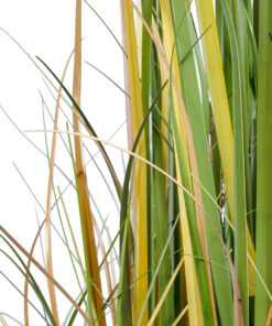 GloboStar® Artificial Garden PAMPAS GRASS 20108 Τεχνητό Διακοσμητικό Φυτό Γρασίδι της Πάμπας Υ150cm