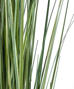 GloboStar® Artificial Garden CRASPEDIA GRASS 20112 Τεχνητό Διακοσμητικό Φυτό Κρασπέδια Υ150cm