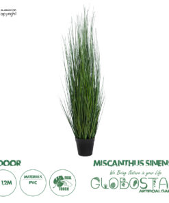 GloboStar® Artificial Garden MISCANTHUS SINENSIS 20116 Τεχνητό Διακοσμητικό Φυτό Μίσχανθος Υ120cm