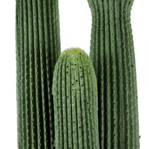 GloboStar® Artificial Garden CARNEGIEA CACTUS 20123 Τεχνητό Διακοσμητικό Φυτό Κάκτος Σαγκουάρο Υ160cm